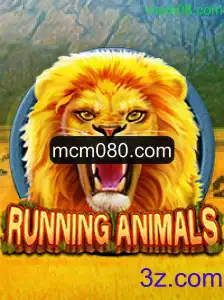 RunningAnimals: Mergulhe na Aventura Selvagem
